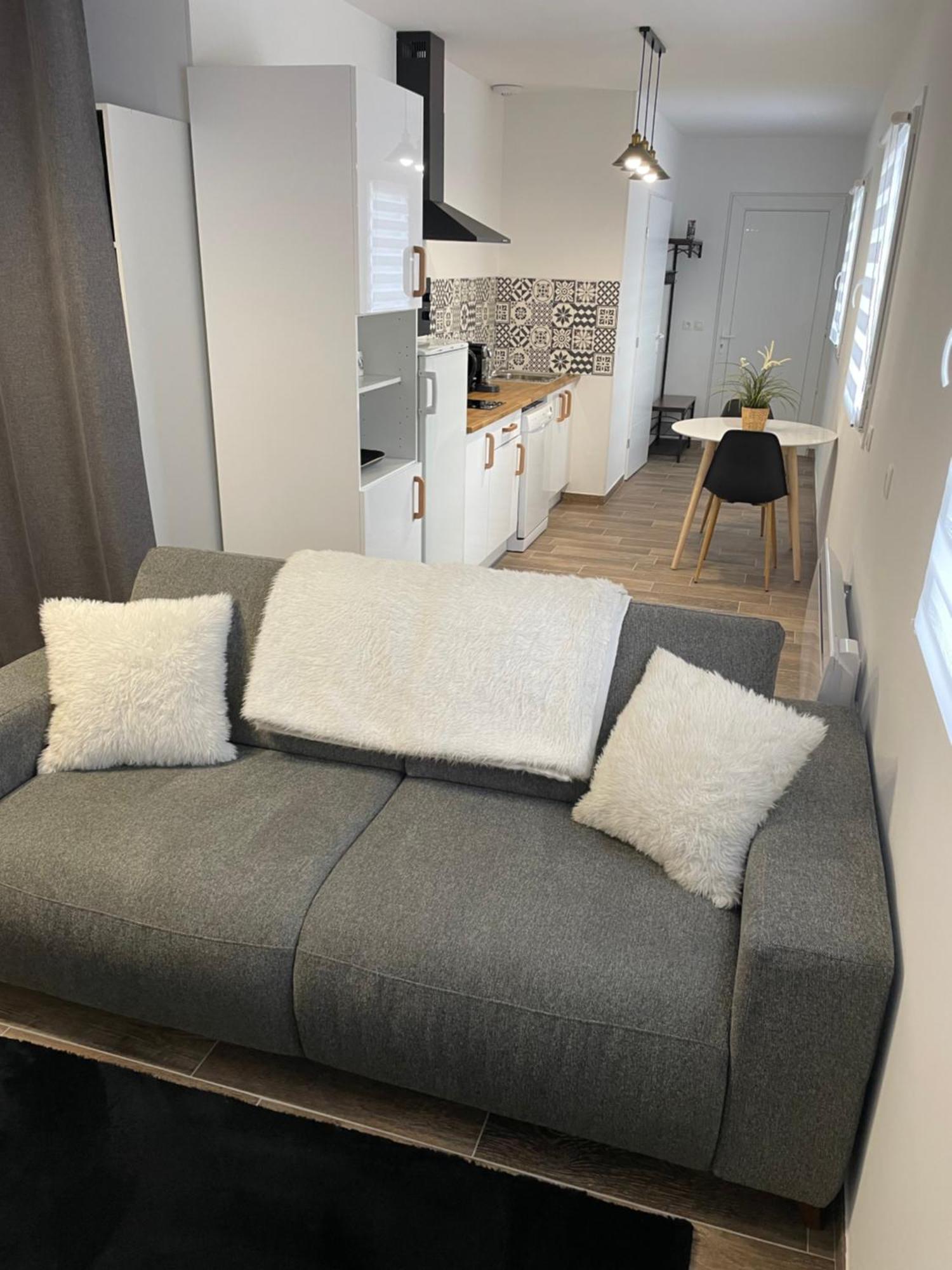 Studio Bien Situe & Tout Equipe Dans Une Maison Scionzier Екстер'єр фото